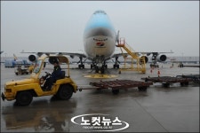 화물은 날고싶다