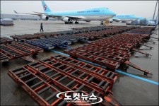 유럽행 화물도 올스톱