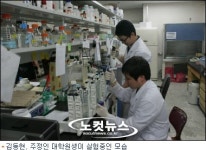 대구대학원생, 고추 매운 성분 비만억제 규명