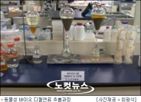 [영상] 버려지는 돼지, 쇠기름이 녹색 가솔린으로 변신!