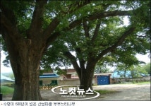 물이 만든 아름다운 정원, 남원요천권역을 아시나요?