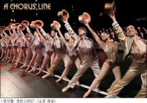 애프터스쿨 정아, 뮤지컬 코러스라인 출연 무산