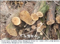 부산진구청, 백양산 롯데골프장 건설 봐주기 의혹
