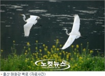 백로야 놀자…울산 태화강 생태교실 개설