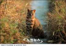 동강 유역 생태보전지역 추가 지정