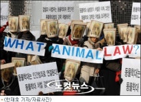 개들의 무덤 된 애견훈련학교…굶겨 죽인 뒤 유기