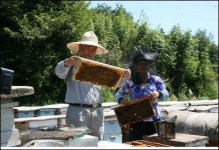 곡성 믿음양봉, 전자 상거래로 억대 부농 꿈꿔