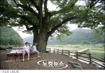물안개가 환상적인 물돌이 마을을 찾아서