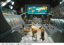 버려진 동물들, 할리우드 진출 캣츠 앤 독스2 활약
