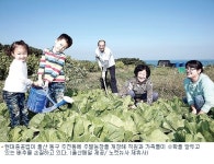 “주말 농장에서 잘 기른 배추로 김장 걱정 덜었어요”