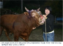 전국 유일 아가씨 우주(牛主), 전국 소싸움대회 제패