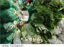 농협 광주 유통센터, 배추 2천원 인터넷 예약 판매