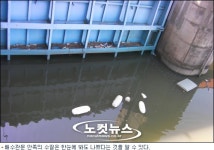 금강하구둑 어떤 문제가 있길래?