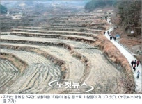 느릿느릿 숲길 걸으며 아름다운 고독에 취하다