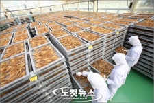 동원에프앤비지엔씨강남주 | 동원F&B, 홍삼전문공장 준공