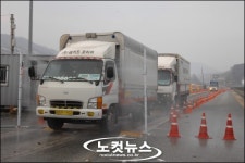 충남 보령·당진 구제역 의심신고로 샌드위치된 홍성