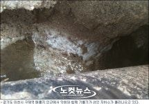 구제역 매몰지 인근서 돼지 기름 콸콸