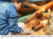 동물은 정직해요…사랑 준만큼 돌려받죠