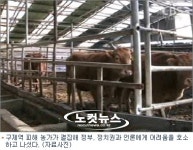 누가 축산농가를 뚜껑 열리게 만들었는가
