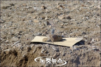 사제 폭발물의 강력한 파괴력 확인돼