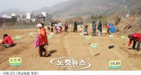 주말에는 텃밭으로 경남농협, 주말농장·과수원 분양