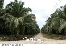 대기업들 곡물가격 인상, 해외농장으로 해결