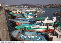 말라버린 어장에 살인적 면세유까지…어찌 살라고