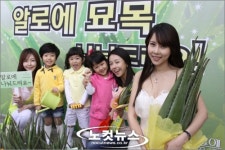 김정문알로에 알로에 묘목 나눠요