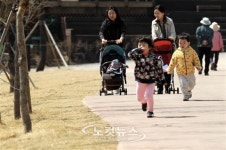숲은 즐거움이다
