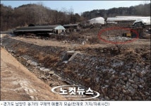 경북 영천서 한달 만에 구제역 발병 가능성