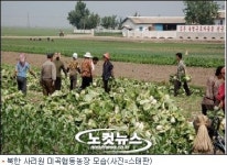 북한 도시 가정 60%, 협동농장 친척에 식량 도와달라