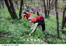 5월의 푸르름 찾아서...야생화 ·보리밭