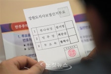 강원도의 선택