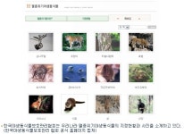 멸종위기동물을 내 손 안에?…매력지수 200점