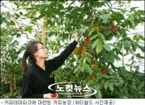 제주 워터월드, 커피테마파크 변신