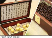 소람한의원, 암을 치료할 수 있는 면역력의 중요성 강조