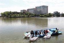 태양광 백조 둥둥