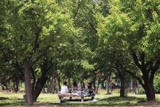 여기가 무릉도원