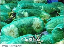 쌀↑ 배추↓…오락가락 물가에 밥상이 괴로워