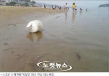 세계박람회 개최 여수, 부끄러운 자화상