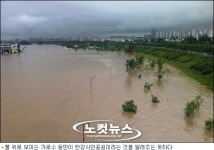 중랑천·반포천, 범람 직전…가로수만 물에 둥둥