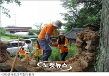 전남 대학생 문화지킴이들 문화재 정비에 구슬땀