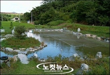 생태연못 둠벙살리기...나도 배우자 열기