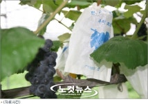 기계 한대에 1억...누굴 위한 기술개발? 외면받는 농진청