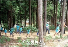 전남 치유의 숲 대폭 확충