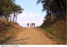 걸어볼만한 가을길, 팔공산 올레길 등 6선