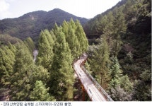 걸어볼만한 가을길, 팔공산 올레길 등 6선