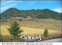北 농민들, 추수끝나도 탈곡이 문제다