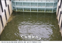 여전히 더러운 영산강…근본 대책 필요