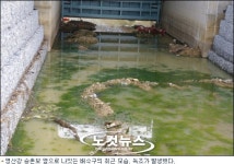 여전히 더러운 영산강…근본 대책 필요